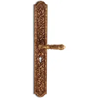Picture Stylish Naxos door handle with a long plate
