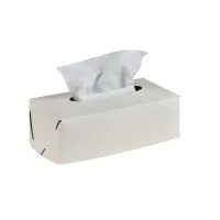 Picture Unique white tissue box 23x12xH7.5 cm made of leather
