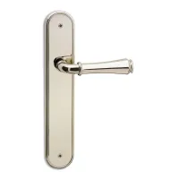 Picture Door handle with a long plate