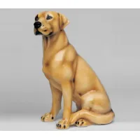 Picture Labrador Retriever figure - Il Gattopardo