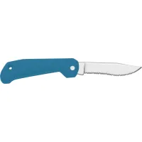 Picture A unique fishing knife with a blue handle