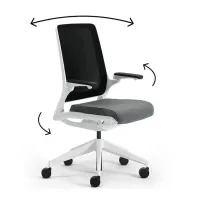Picture Ergonomic Astra chair - perfect for office and home work