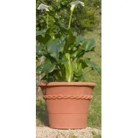 Picture A beautiful flower pot for the terrace and garden - Fornace Masini