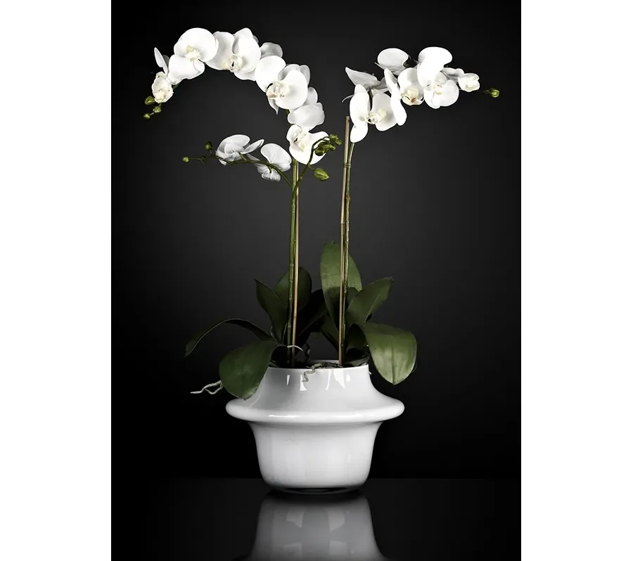 obrazek 1 Włoska duża donica z dwoma storczykami - Luxury Products