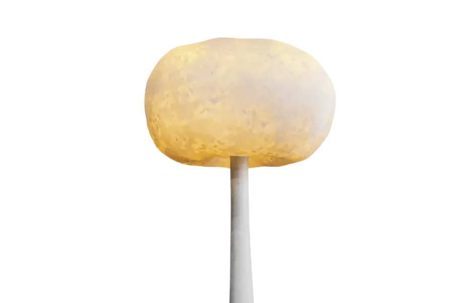 exclusive lamp for the home
