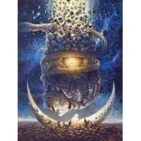 Picture Krzysztof Krawiec