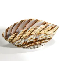 Picture Beautiful glass bowl in the shape of a shell