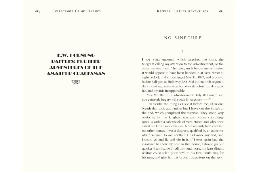 obrazek 4 Książka Amatorski Włamywacz - Flame Tree Publishing