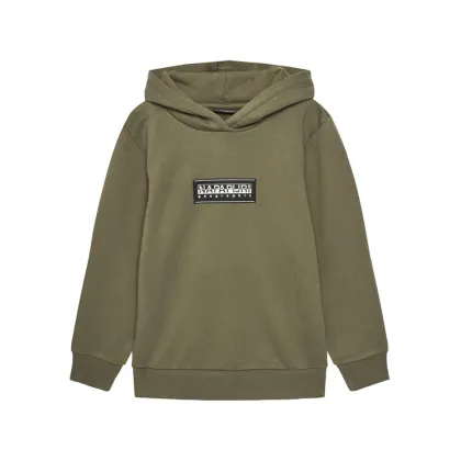 Zdjęcie Napapijri Bluza B-Chamois NP0A4HY4 D Zielony Regular Fit