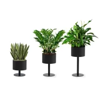 Zdjęcie Ekskluzywna donica Council w wielu wariantach wymiarowych