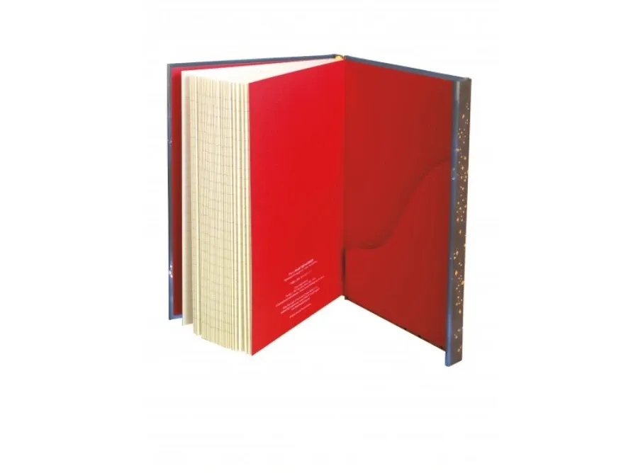 obrazek 3 Dziennik (Jean i Ron Henry: Moon Maiden) - Flame Tree Publishing