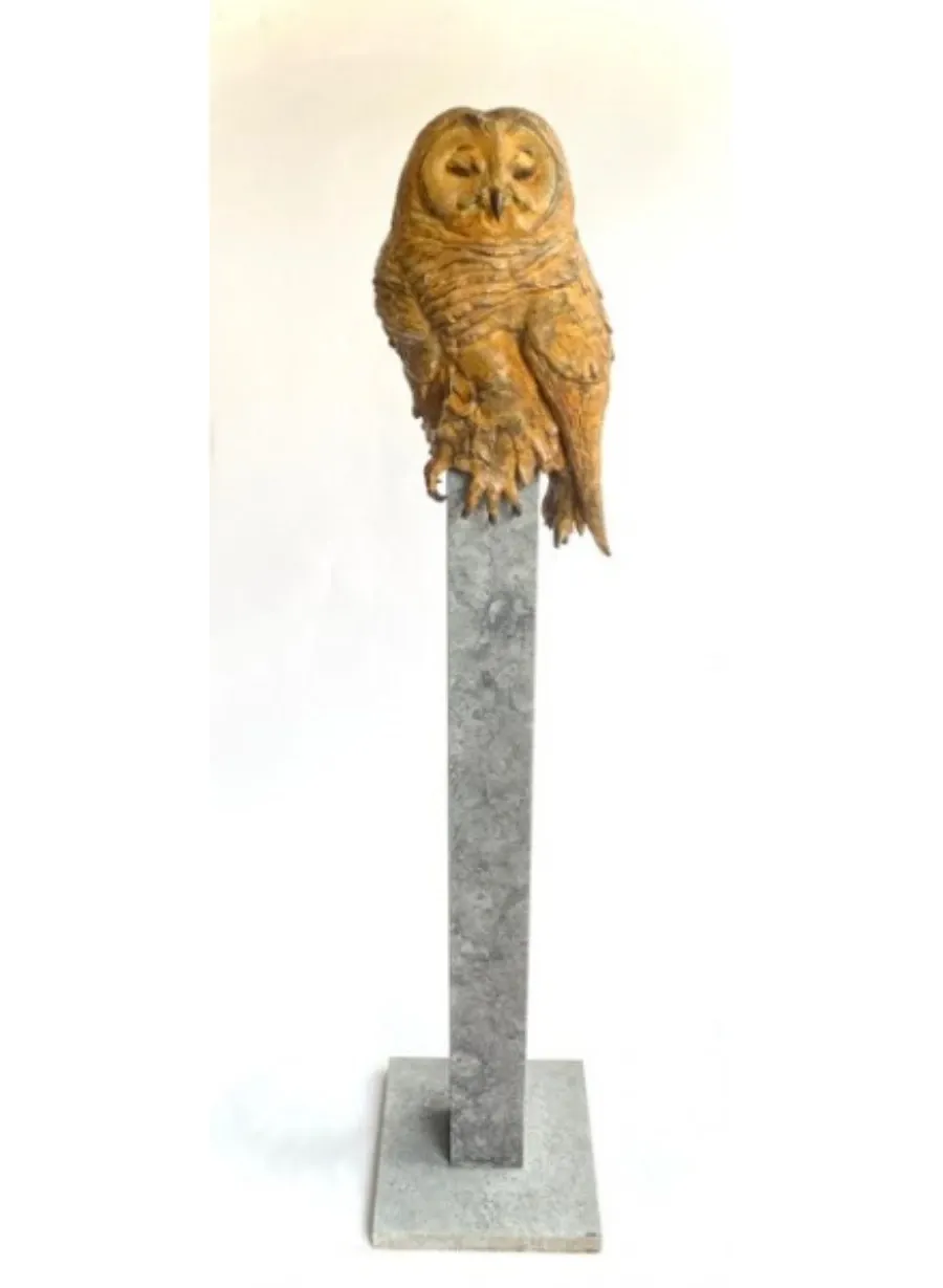 obrazek 2 Wspaniała rzeźba wykonana z brązu przedstawiająca brązową sowę - wyjątkowa ozdoba do salonu