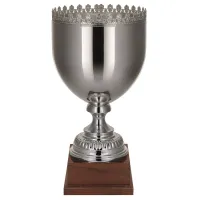 Picture Stylish silver cup with optional nameplate