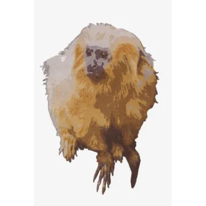 Picture Carpet as a monkey - MONKEY