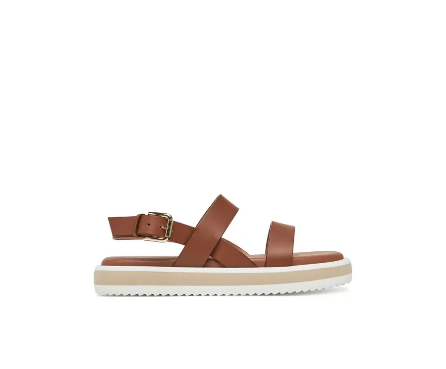 obrazek 1 Pollini Sandały SA16483G0MTC0230 Brązowy