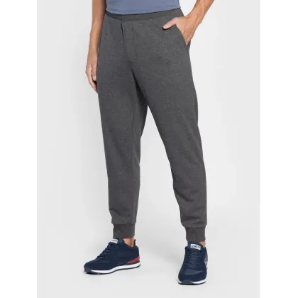 Zdjęcie Skechers Spodnie dresowe Expedition M1PT57 Szary Regular Fit