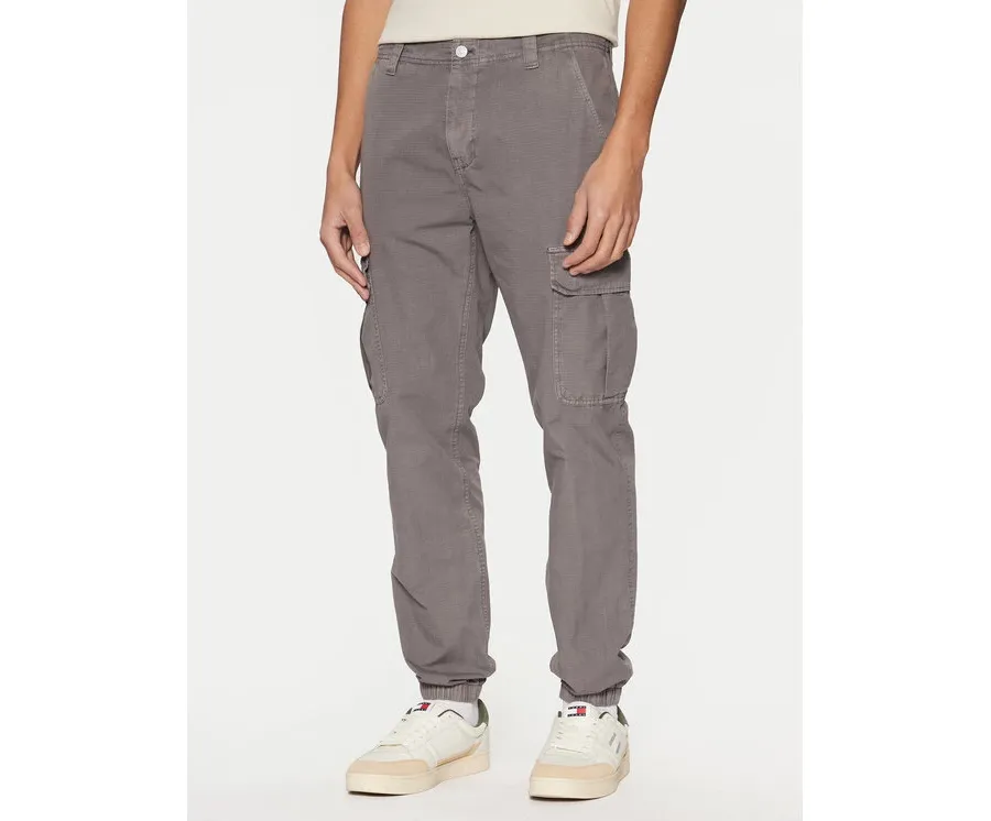 obrazek 1 Tommy Jeans Joggery Ryan DM0DM20284 Szary Regular Fit