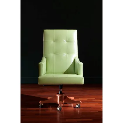 Picture Elegant chair for the manager