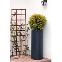 Zdjęcie Unikalna donica w kształcie tuby - 3 warianty i kolory do wyboru