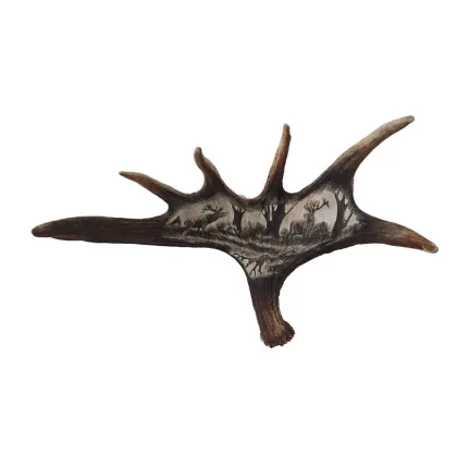 Zdjęcie Niezwykły przedmiot myśliwski z personalizacją na łopacie łosia