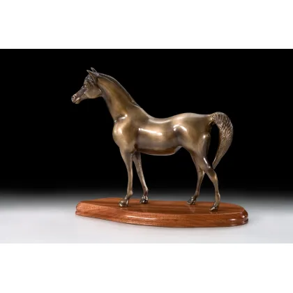 Zdjęcie Piękny koń wykonany z brązu - Virtus
