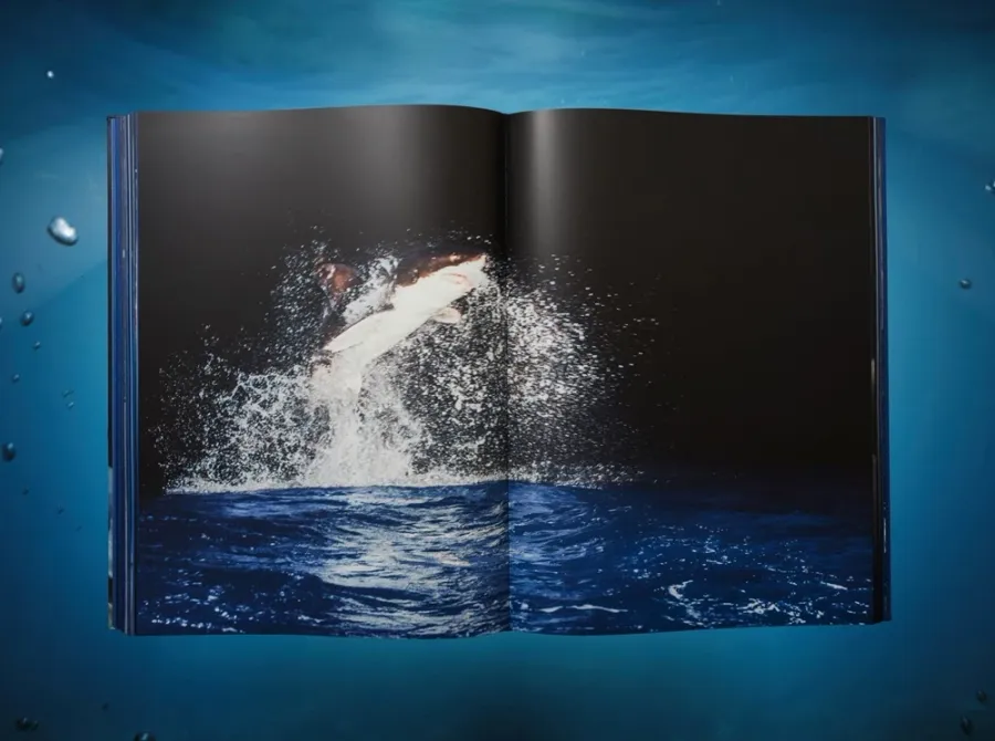 obrazek 10 Książka Michael Muller. Sharks - Taschen