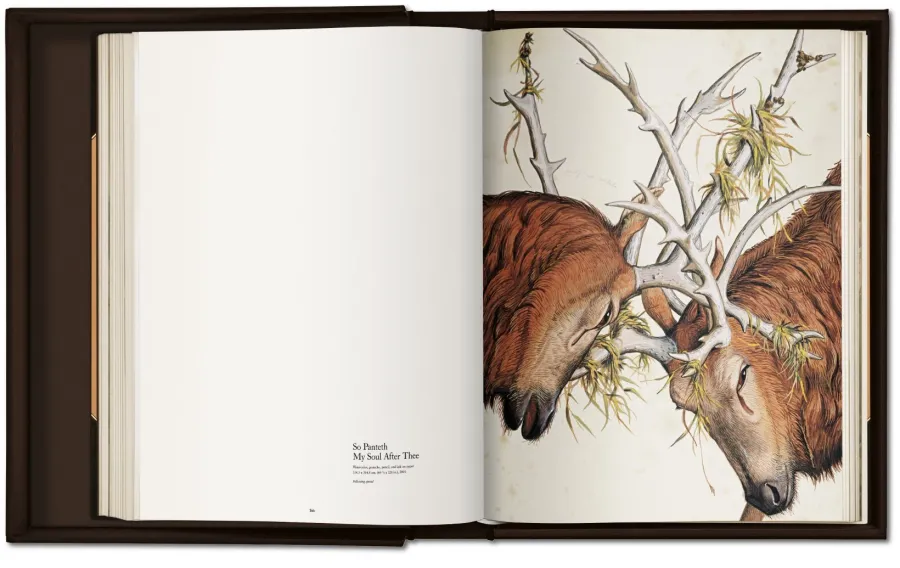 obrazek 8 Książka Walton Ford. Pancha Tantra - Taschen