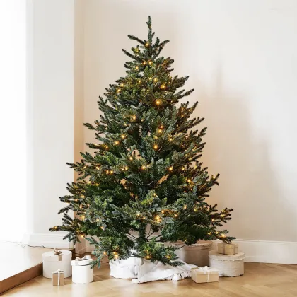 Zdjęcie Choinka Franck