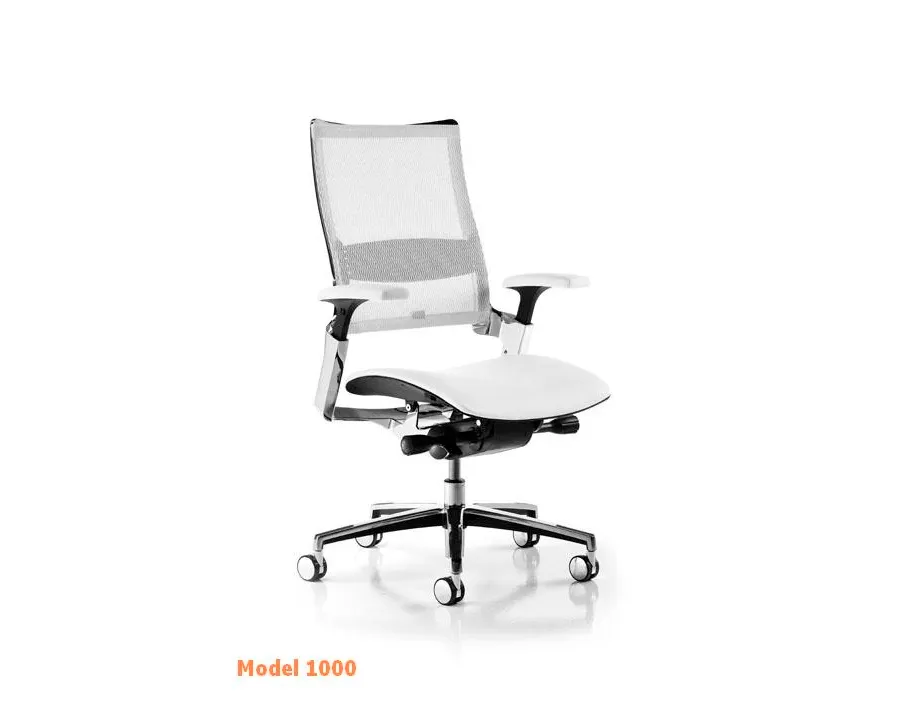picture 1 Exclusive ergonomic chair on wheels