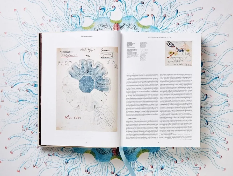 obrazek 5 Książka Sztuka i nauka Ernsta Haeckla - Taschen