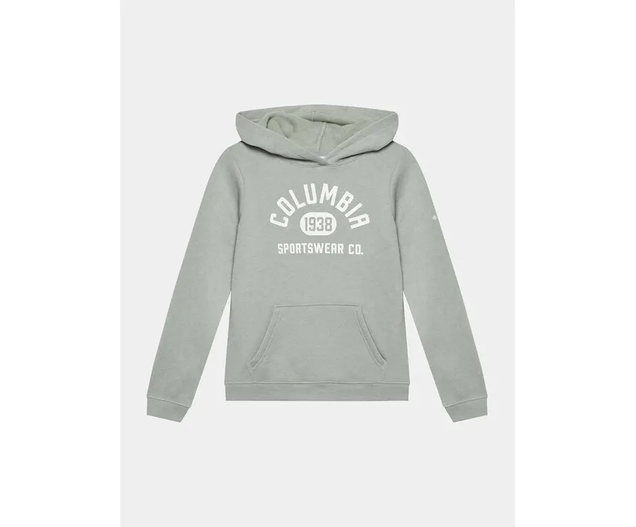 obrazek 1 Columbia Bluza Trek™ Hoodie Szary Regular Fit