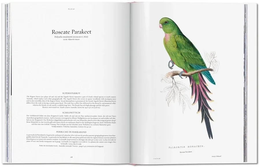 obrazek 6 Książka Edward Lear. Papugi - Taschen