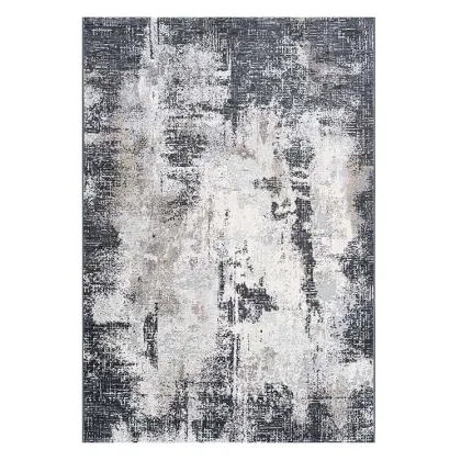 Picture Berenice abstract carpet for the living room