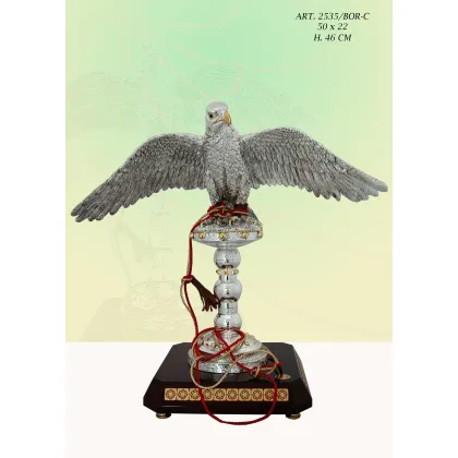 Zdjęcie Biały orzeł z otwartymi skrzydłami