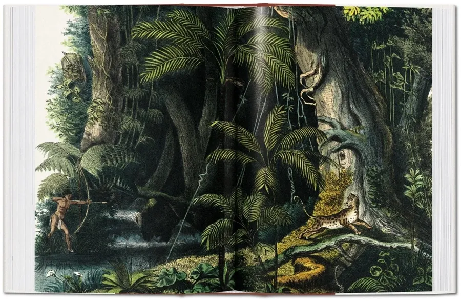 obrazek 8 Książka Martius. Księga Palm - Taschen