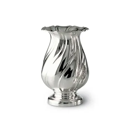 Picture A beautiful silver vase