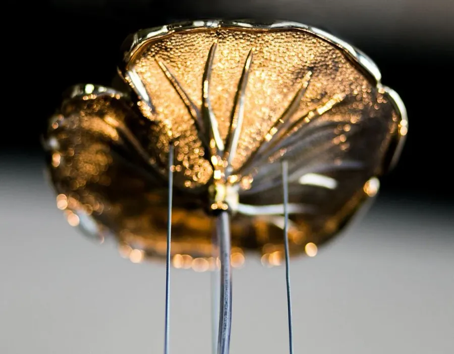 obrazek 5 Designerski żyrandol Gold Ball