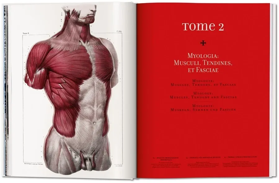 obrazek 3 Książka Bourgery. Atlas anatomii i chirurgii człowieka - Taschen