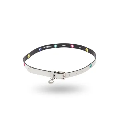 Zdjęcie Pasek EMPORIO AMRMANI Emporio Armani