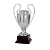 Picture Exclusive sports cup