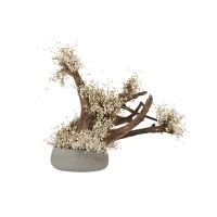 Zdjęcie Oryginalna dekoracja - stabilizowane drzewko Bonsai z naturalnej gliksji