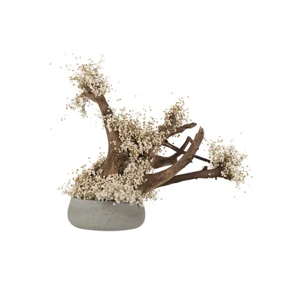 Zdjęcie Oryginalna dekoracja - stabilizowane drzewko Bonsai z naturalnej gliksji