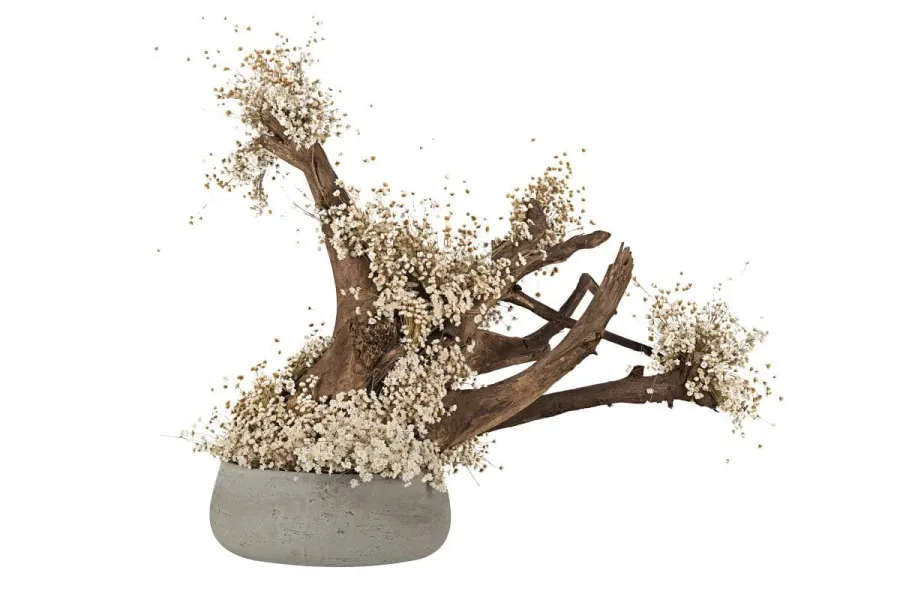 obrazek 1 Oryginalna dekoracja - stabilizowane drzewko Bonsai z naturalnej gliksji