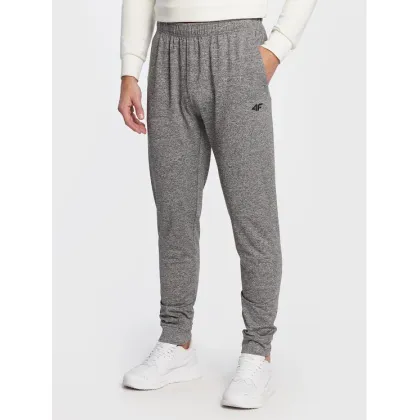 Zdjęcie 4F Spodnie dresowe H4Z22-SPMTR350 Szary Regular Fit