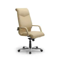 Picture Leather chair in beige office