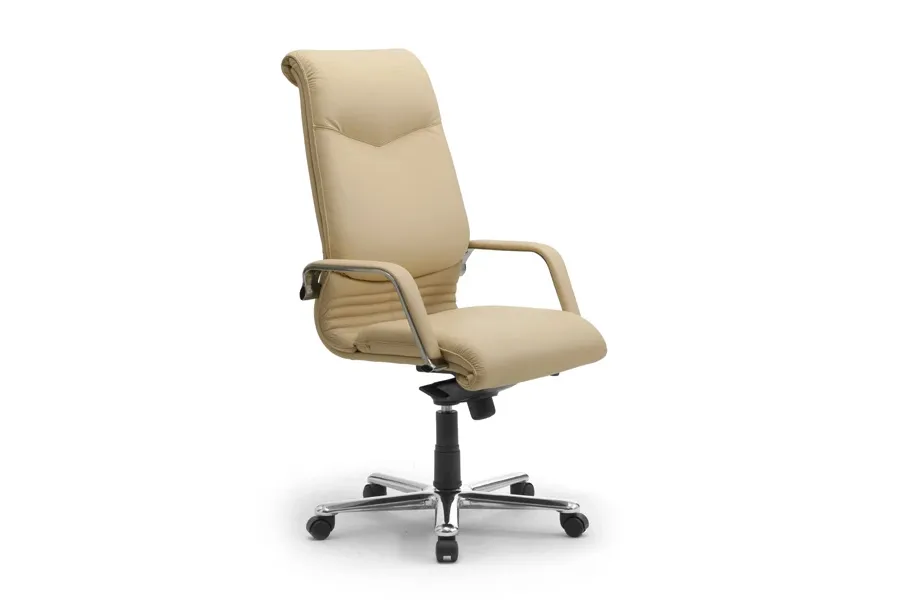 picture 1 Leather chair in beige office