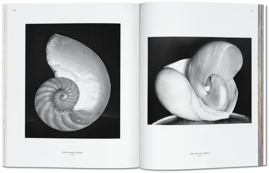 obrazek 3 Książka Edward Weston - Taschen