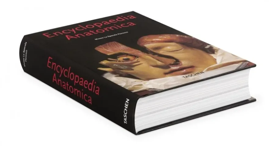 obrazek 2 Książka Encyclopaedia Anatomica - Taschen