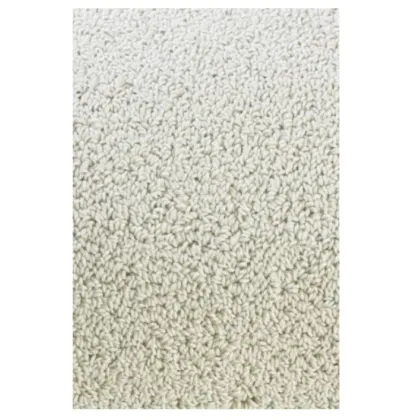 Picture Stylish silver smooth loop rug - TWINSET UNI LOOP PILE 21404