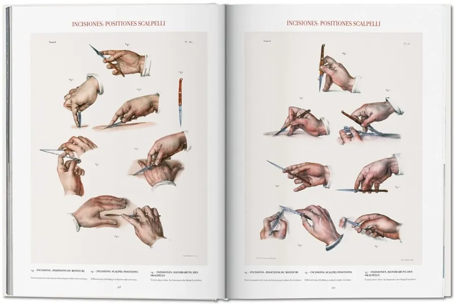 obrazek 8 Książka Bourgery. Atlas anatomii i chirurgii człowieka - Taschen